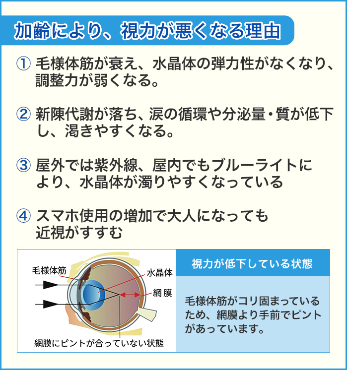 視力が悪くなる理由